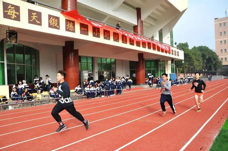 网球拍盒子装的什么胶水
